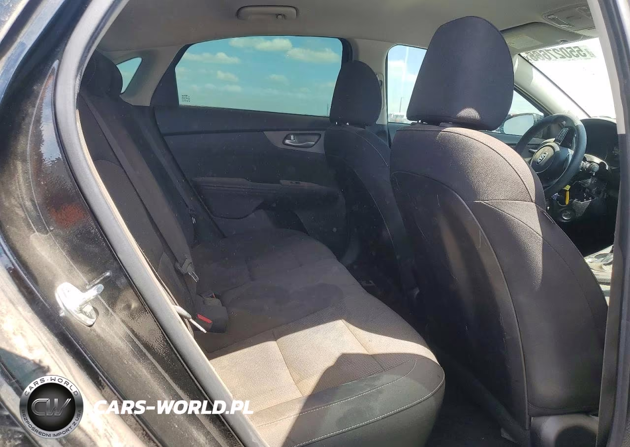 2019 Kia Forte Fe VIN:3KPF24AD7KE127349 - 10
