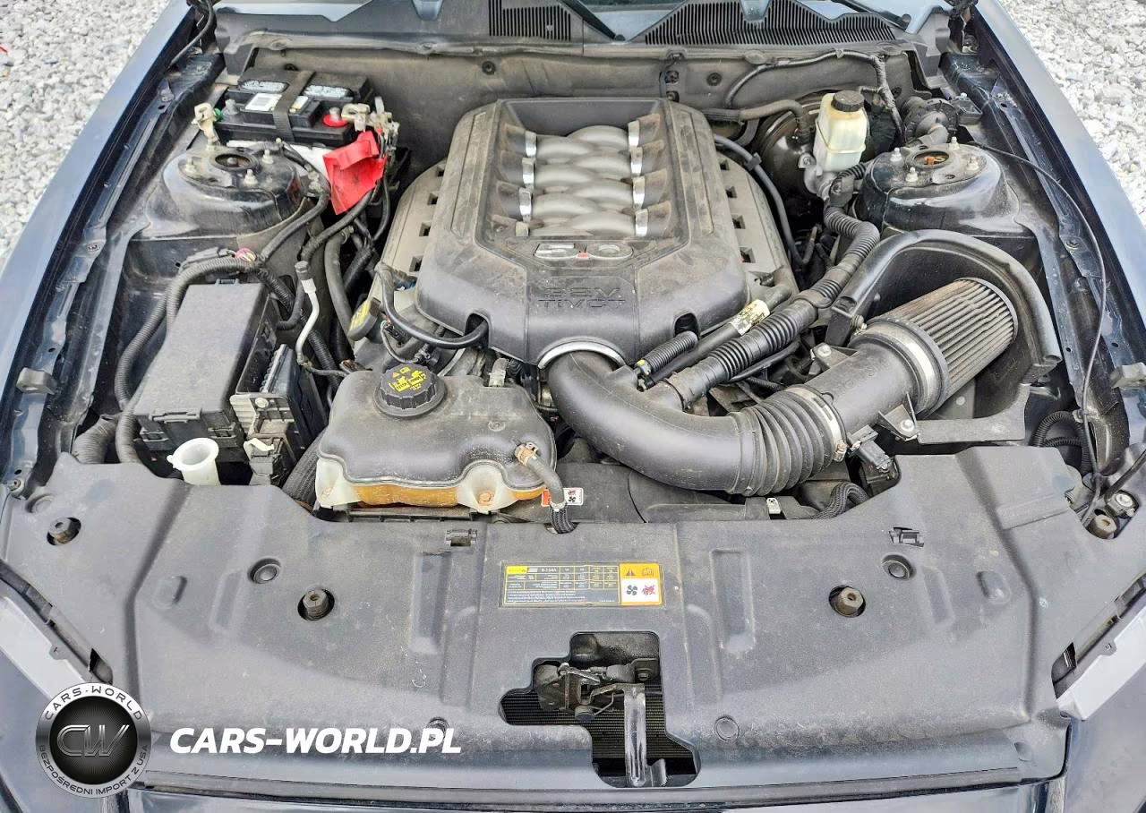 2014 Ford Mustang Gt VIN:1ZVBP8CF9E5268183 - 11