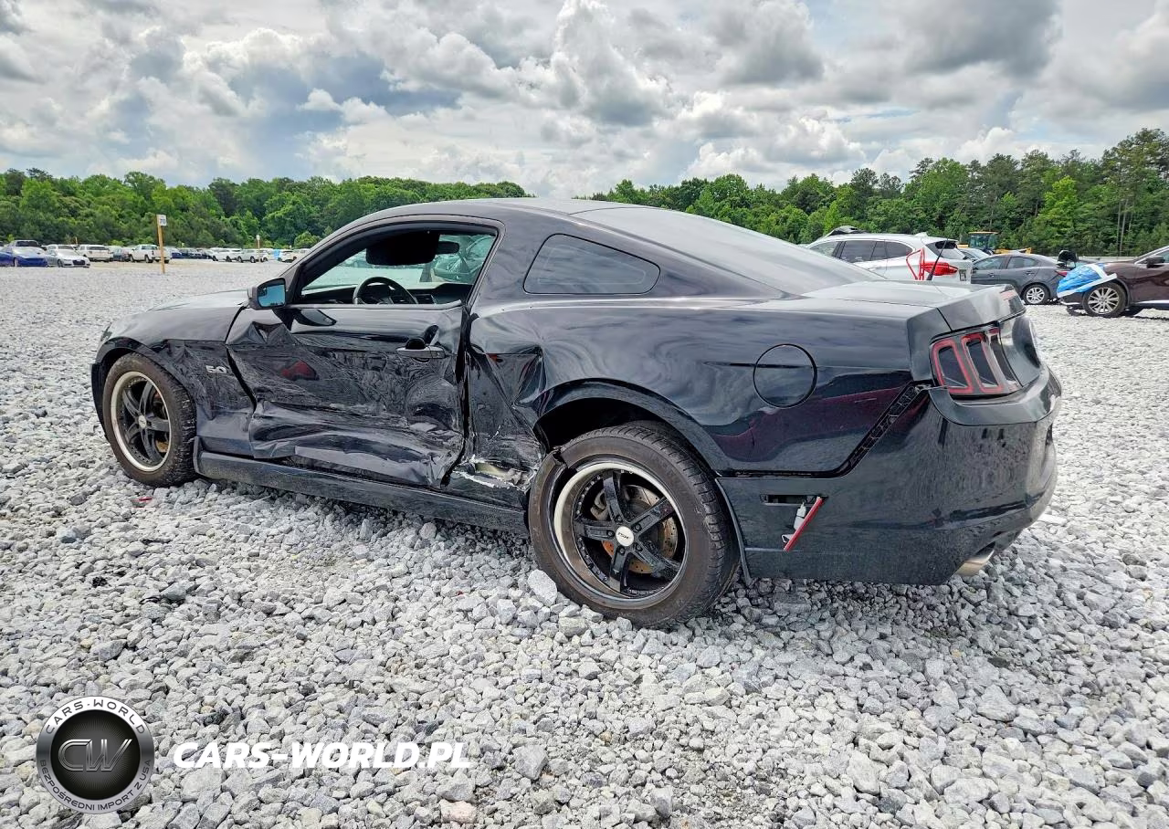 2014 Ford Mustang Gt VIN:1ZVBP8CF9E5268183 - 2