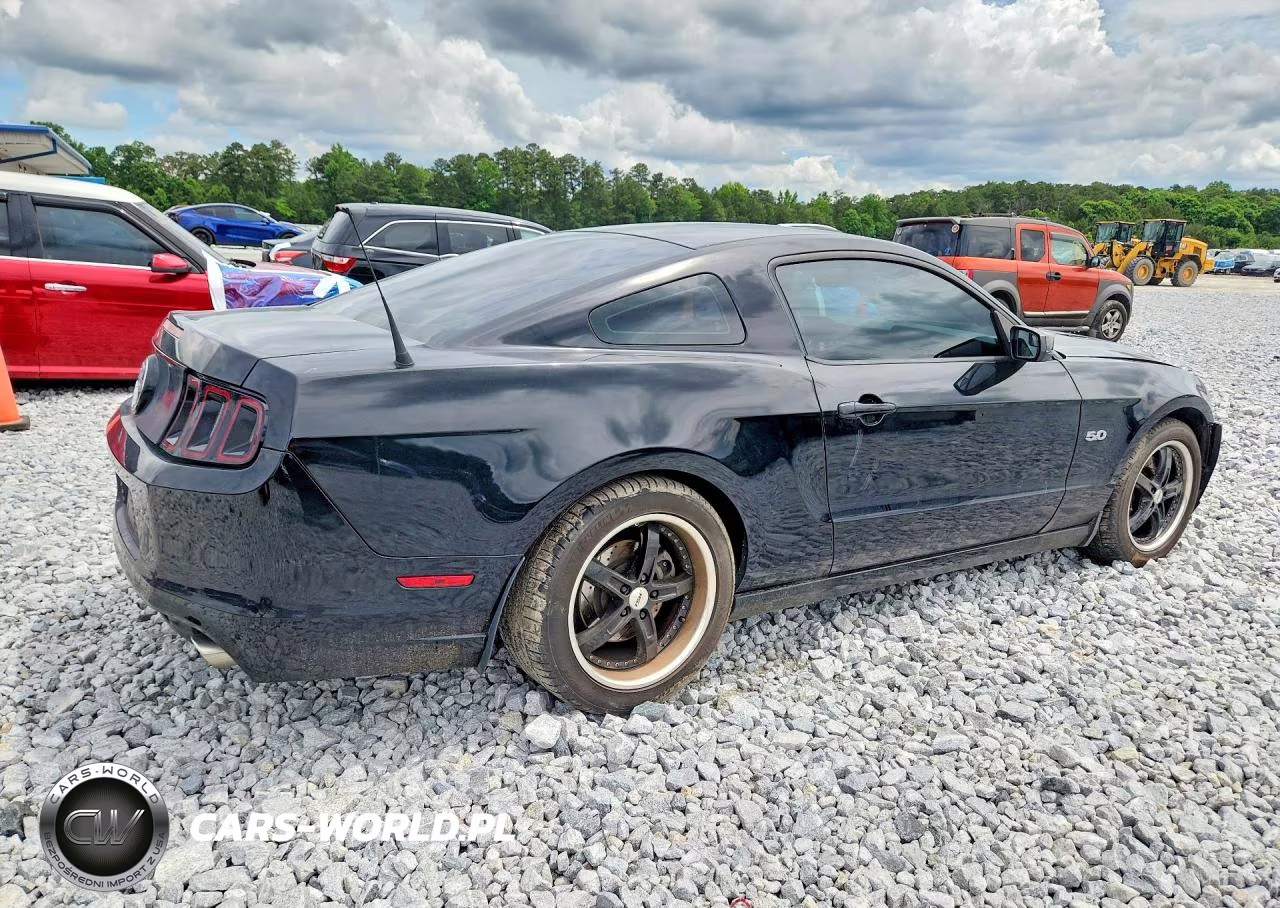 2014 Ford Mustang Gt VIN:1ZVBP8CF9E5268183 - 3
