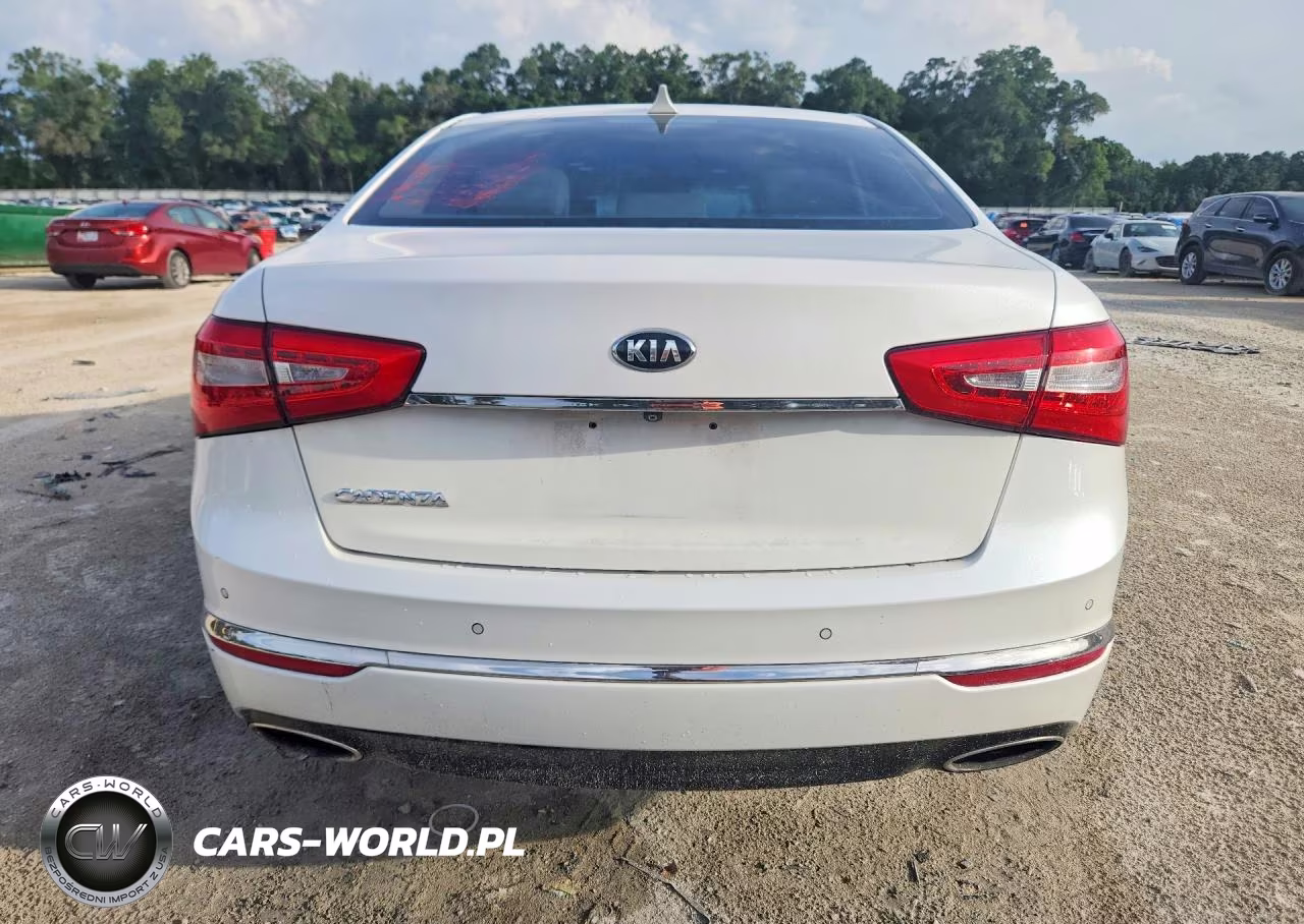 2015 Kia Cadenza Premium VIN:KNALN4D78F5181094 - 6