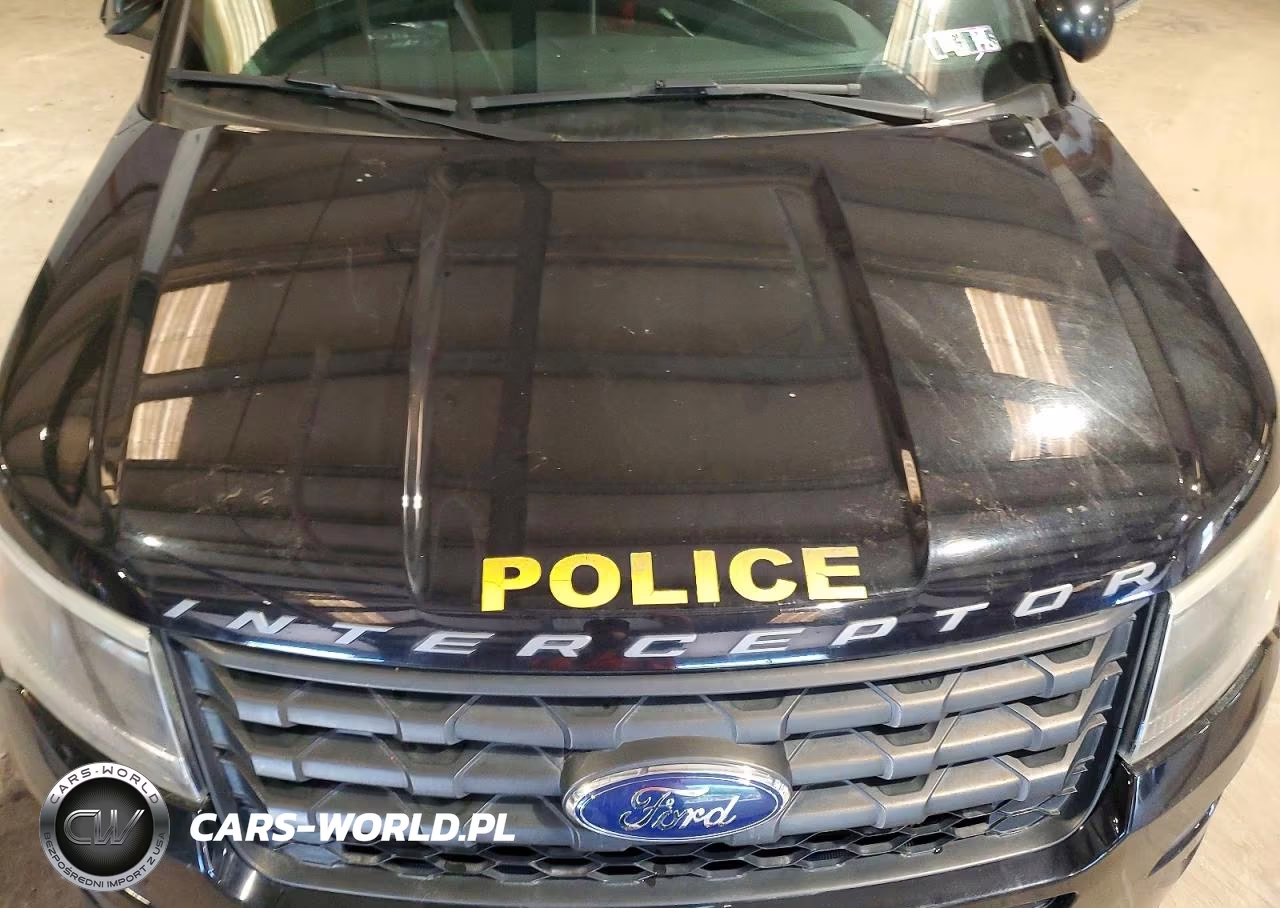 2016 Ford Explorer Police Interceptor VIN:1FM5K8AT2GGD16035 - 12