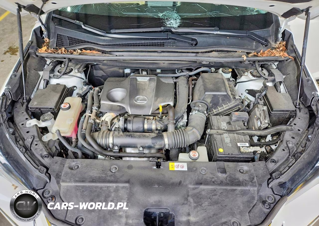 2017 Lexus Nx 200T Base VIN:JTJBARBZ4H2135596 - 12