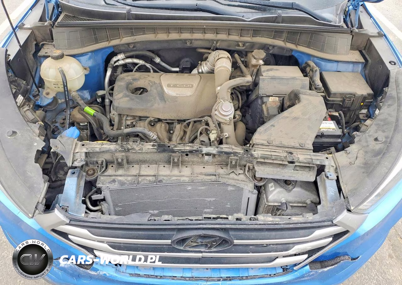 2018 Hyundai Tucson Value VIN:KM8J3CA24JU717651 - 12