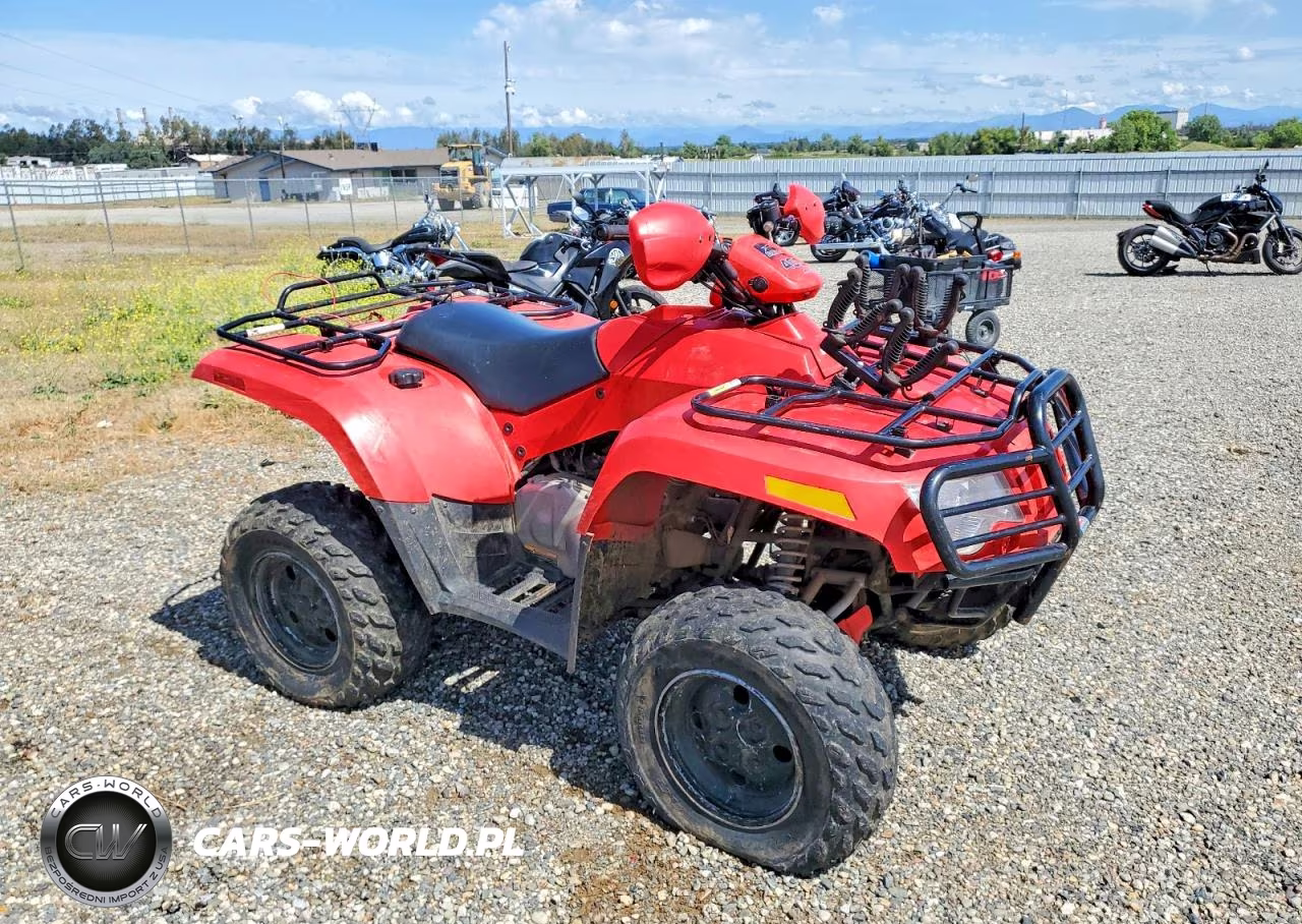 2008 Arctic Cat Atv – zdjęcie 1 z 10
