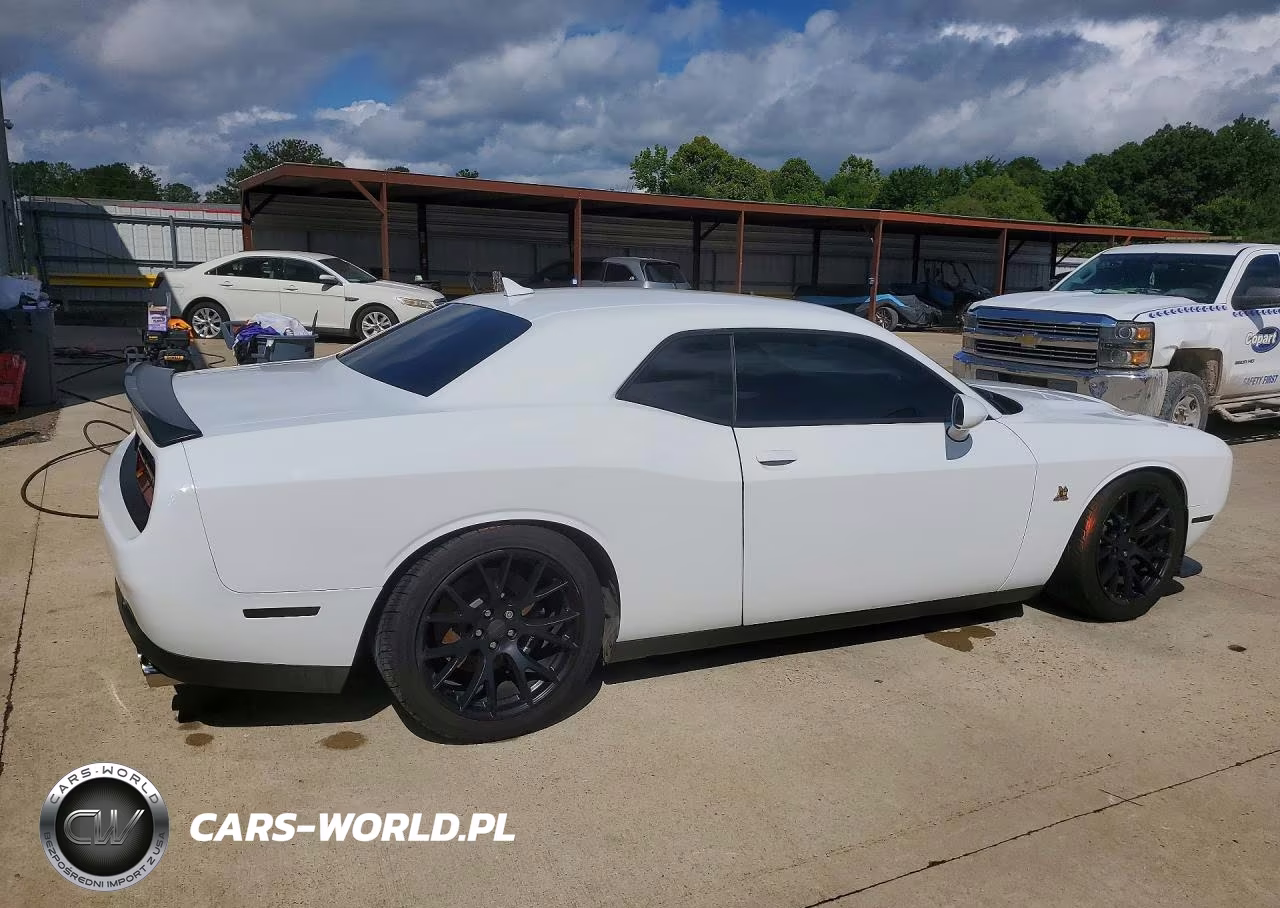2016 Dodge Challenger R VIN:2C3CDZFJ6GH166023 - 3