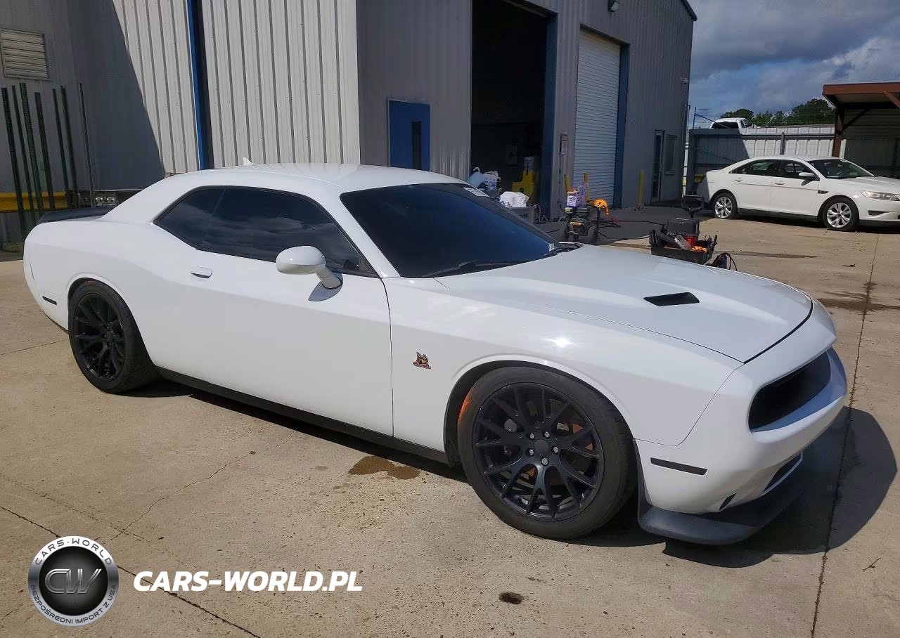 2016 Dodge Challenger R VIN:2C3CDZFJ6GH166023 - 4