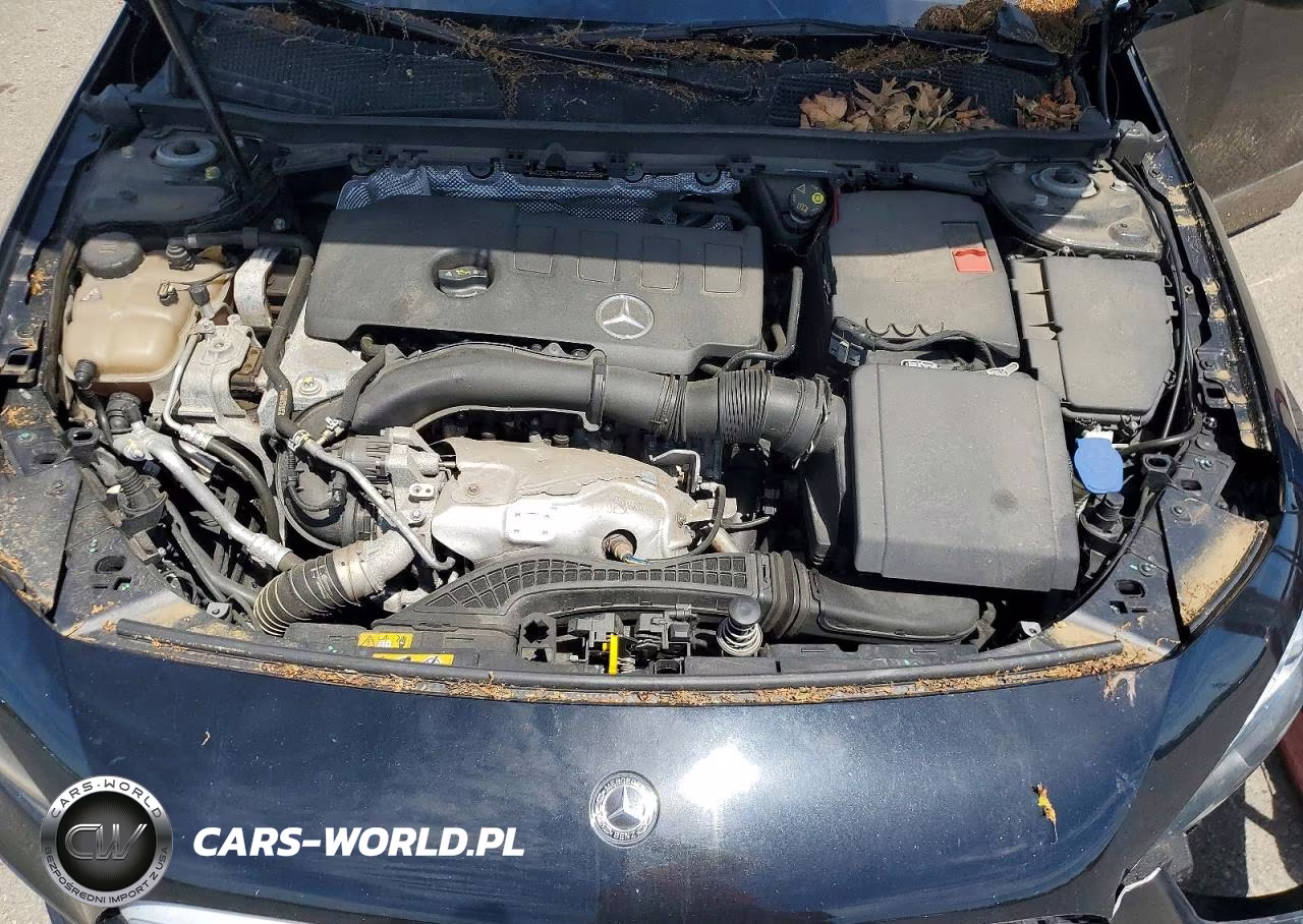 2019 Mercedes-Benz A 220 4Matic VIN:WDD3G4FB0KW000966 - 11