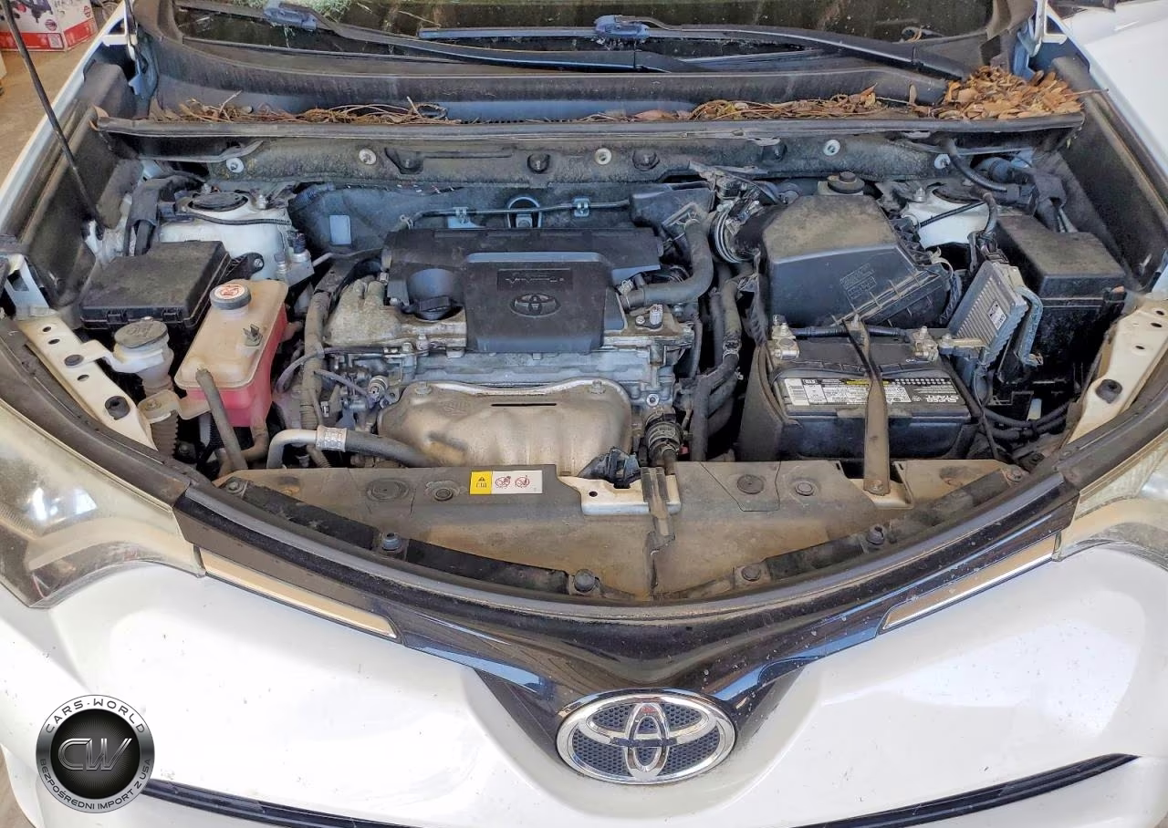 2016 Toyota Rav4 Xle VIN:JTMWFREV8GJ097986 - 12