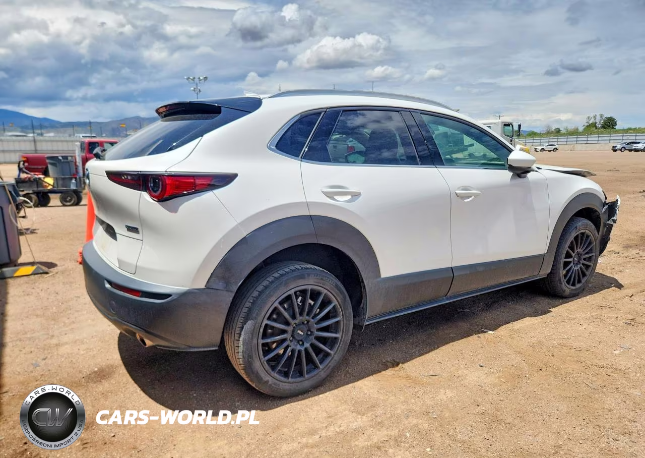 2021 Mazda Cx-30 Premium VIN:3MVDMBDM2MM219672 - 3