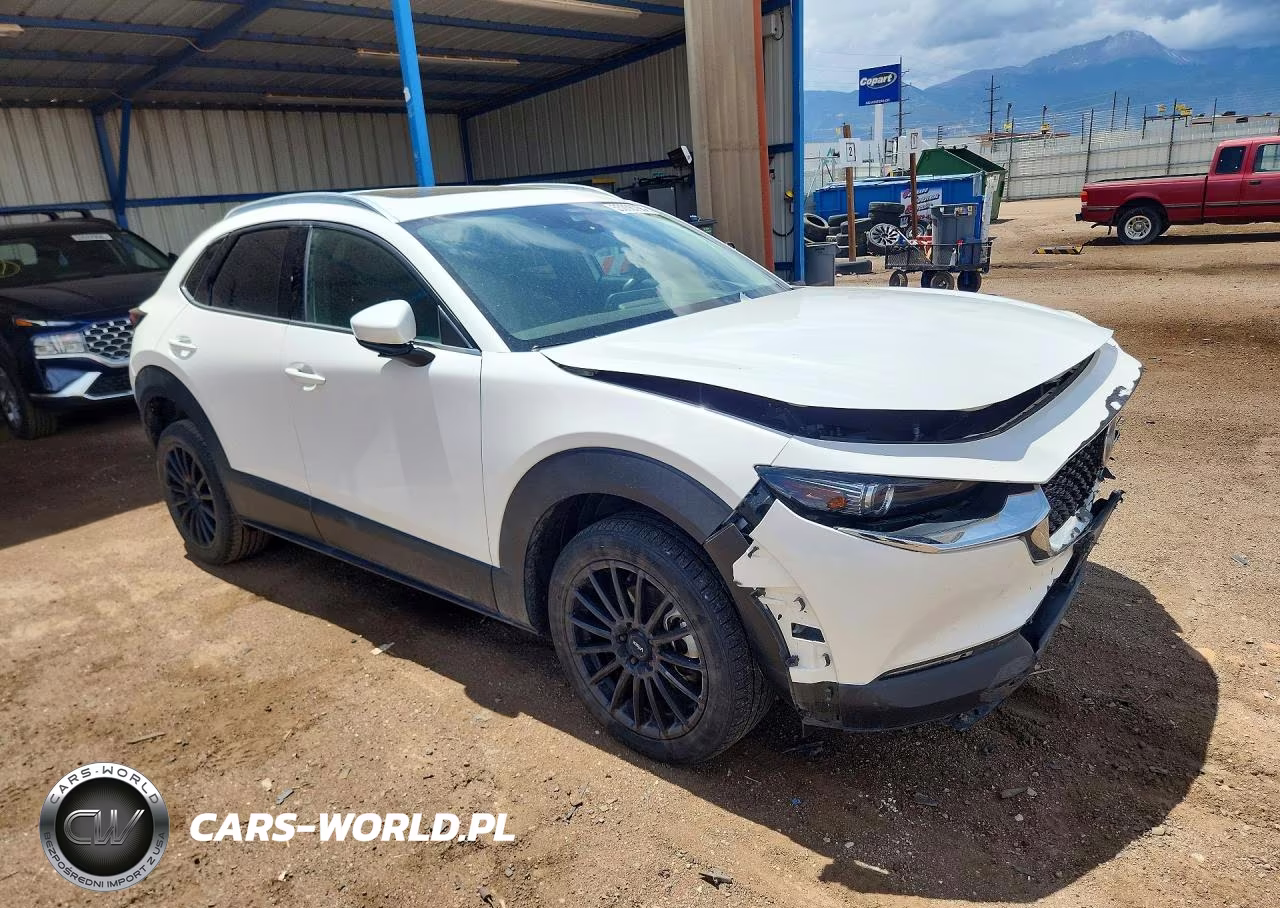 2021 Mazda Cx-30 Premium VIN:3MVDMBDM2MM219672 - 4