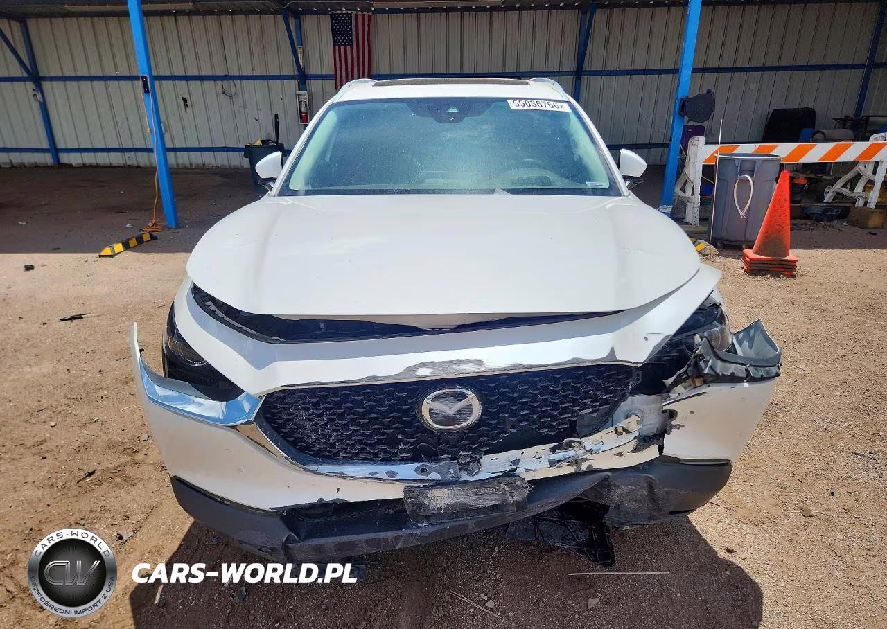 2021 Mazda Cx-30 Premium VIN:3MVDMBDM2MM219672 - 5