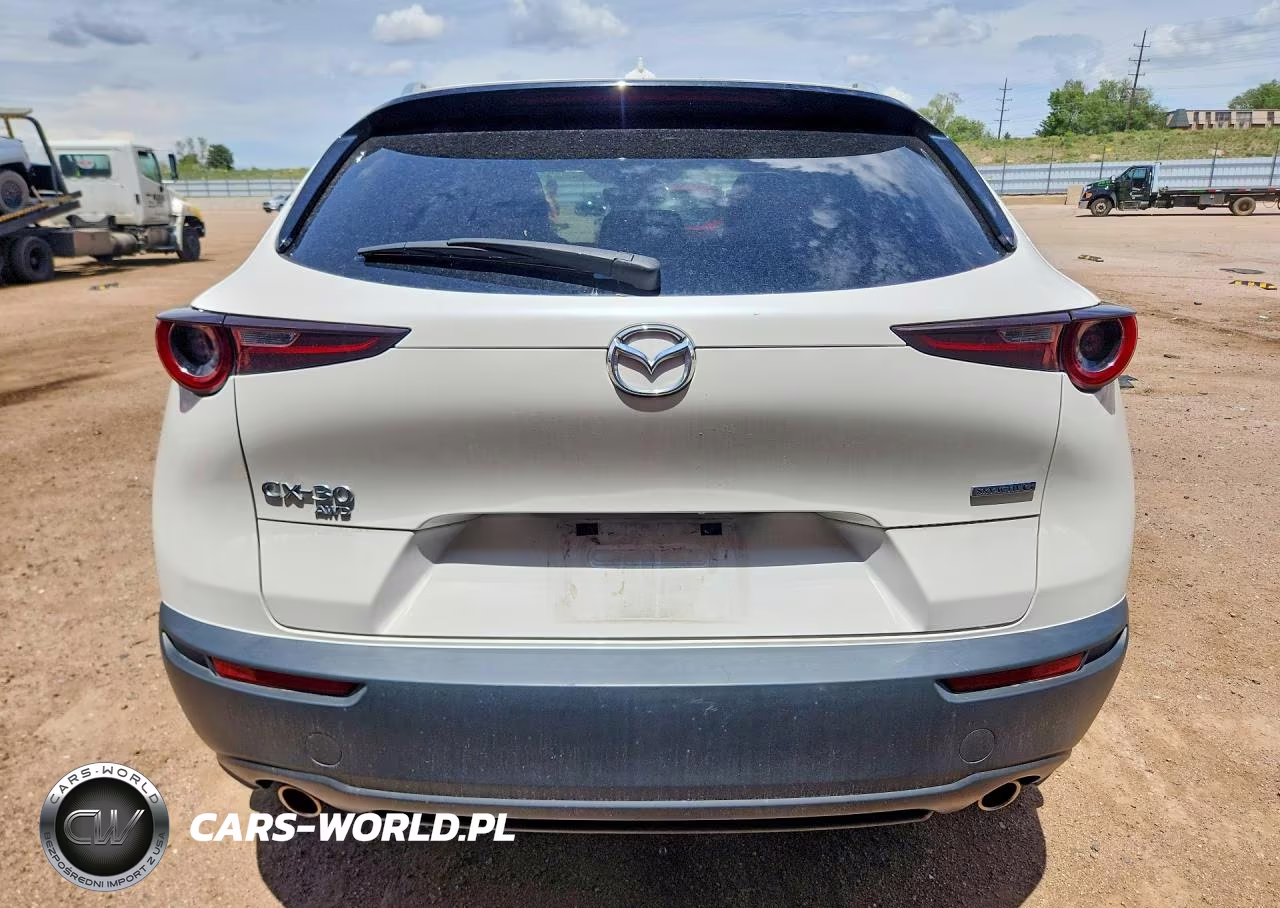 2021 Mazda Cx-30 Premium VIN:3MVDMBDM2MM219672 - 6