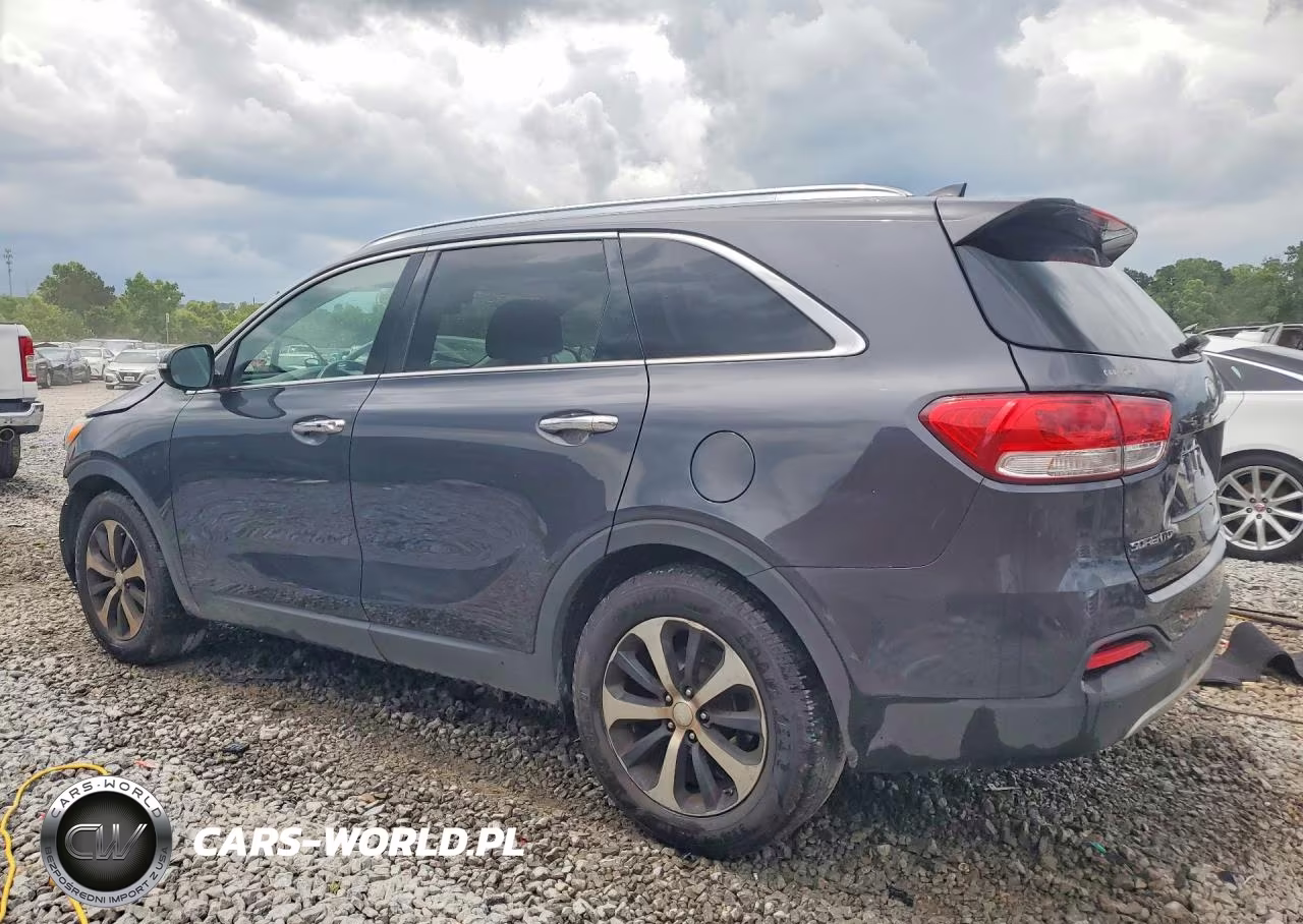 2017 Kia Sorento Ex VIN:5XYPH4A58HG201045 - 2