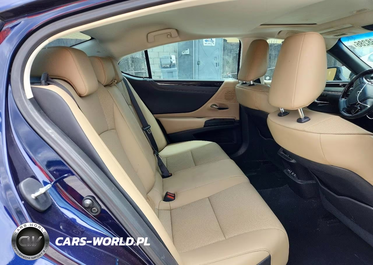 2020 Lexus Es 350 VIN:58ADZ1B17LU067862 - 10