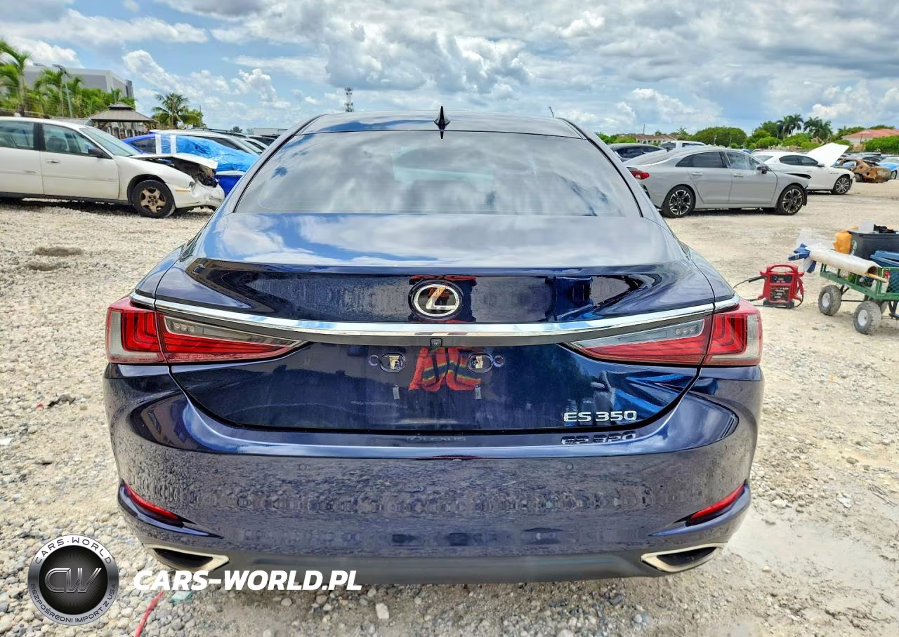 2020 Lexus Es 350 VIN:58ADZ1B17LU067862 - 6