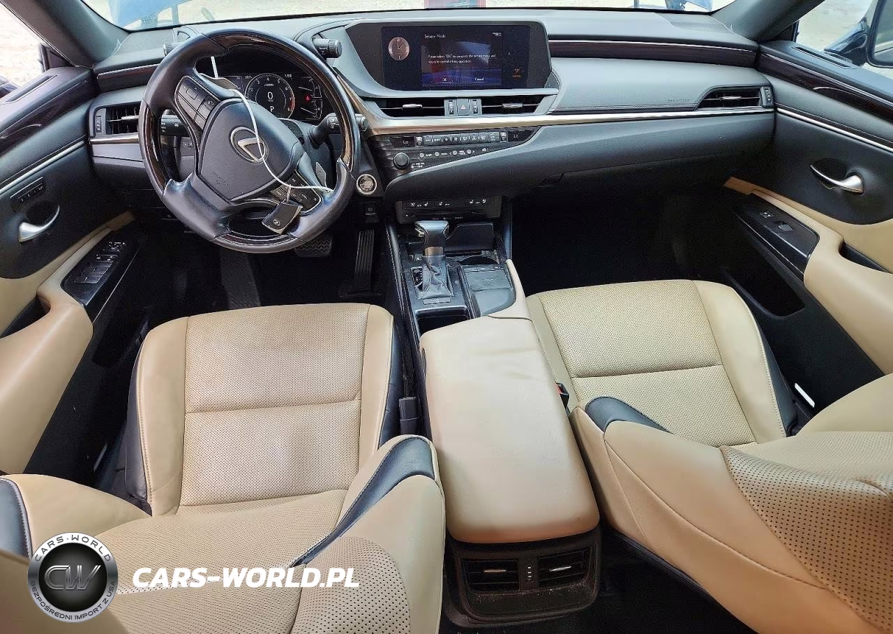 2020 Lexus Es 350 VIN:58ADZ1B17LU067862 - 8