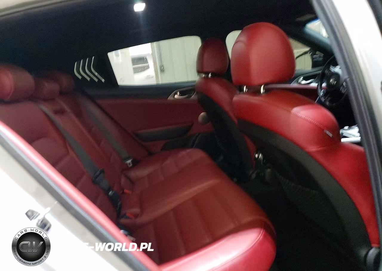 2018 Kia Stinger Gt2 VIN:KNAE55LCXJ6018320 - 10
