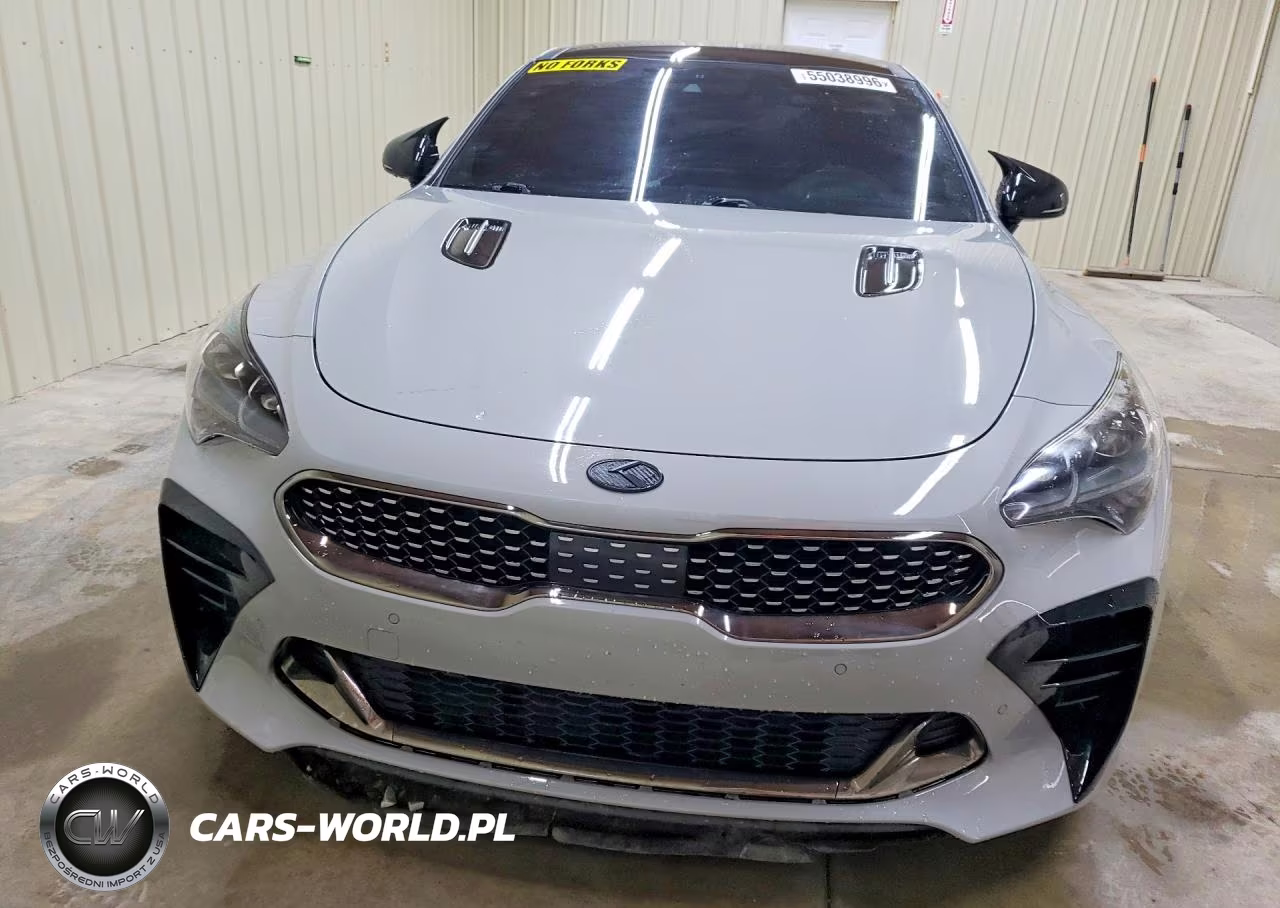 2018 Kia Stinger Gt2 VIN:KNAE55LCXJ6018320 - 5