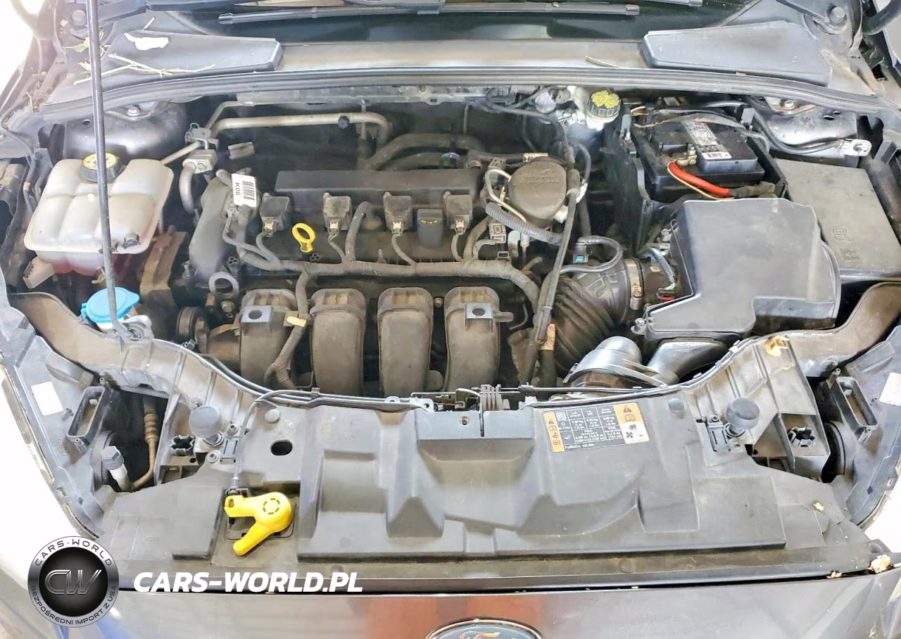 2015 Ford Focus Se VIN:1FADP3K24FL325258 - 11