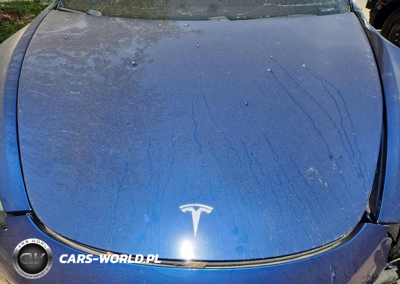 2020 Tesla Model 3 VIN:5YJ3E1EA8LF796931 - 11