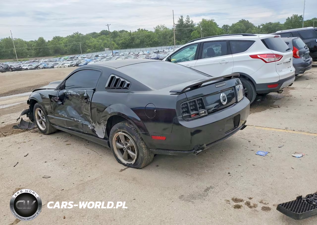 2006 Ford Mustang Gt VIN:1ZVFT82H365197449 - 2