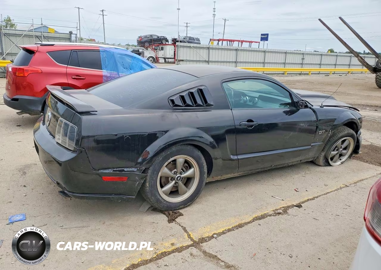 2006 Ford Mustang Gt VIN:1ZVFT82H365197449 - 3
