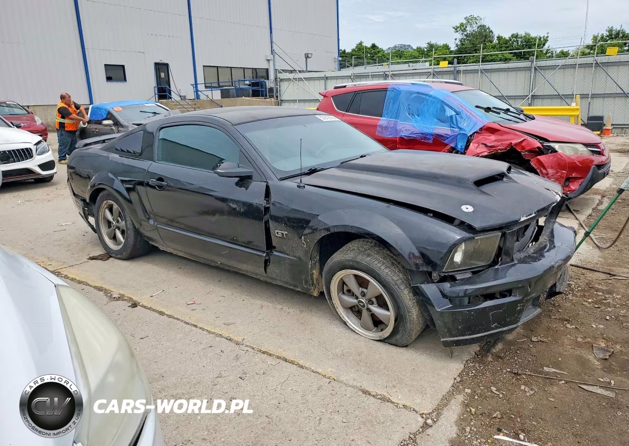 2006 Ford Mustang Gt VIN:1ZVFT82H365197449 - 4