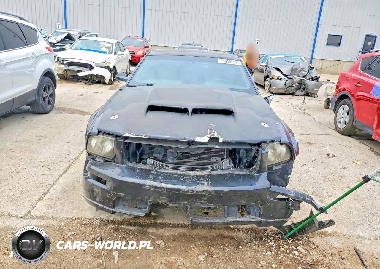 2006 Ford Mustang Gt VIN:1ZVFT82H365197449 - 5
