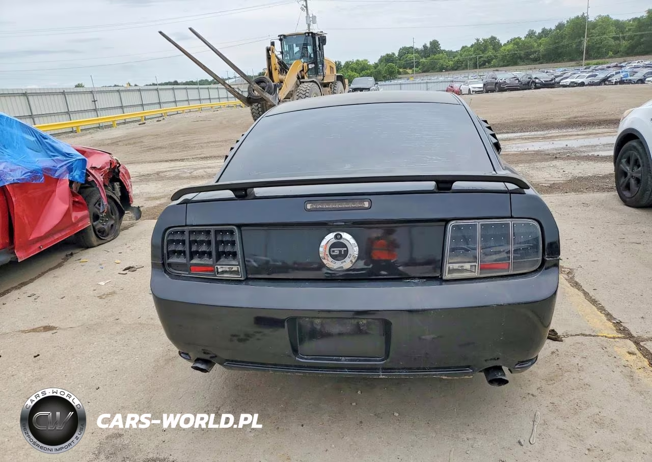 2006 Ford Mustang Gt VIN:1ZVFT82H365197449 - 6