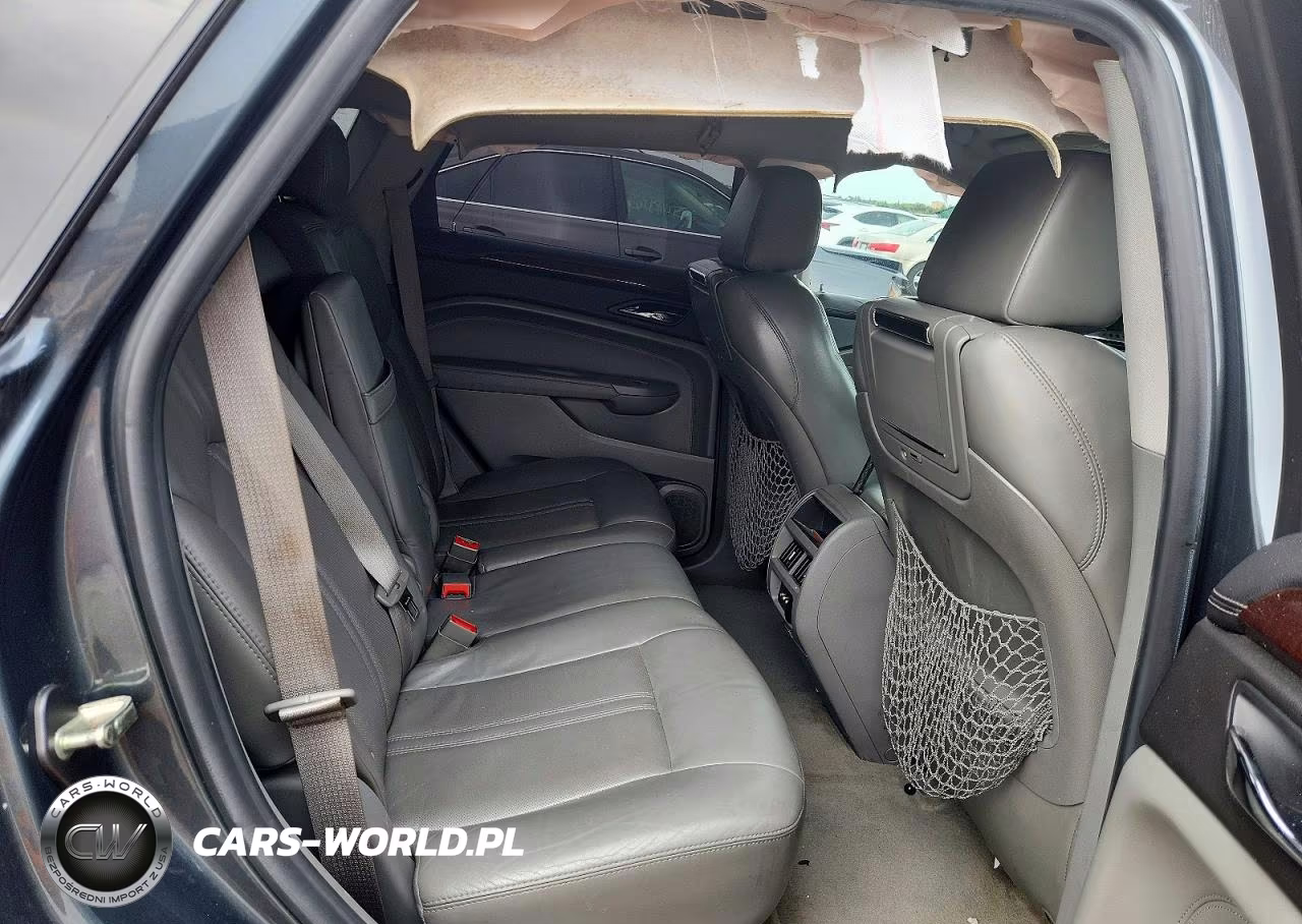 2010 Cadillac Srx Performance Collection VIN:3GYFNBEY8AS567941 - 10