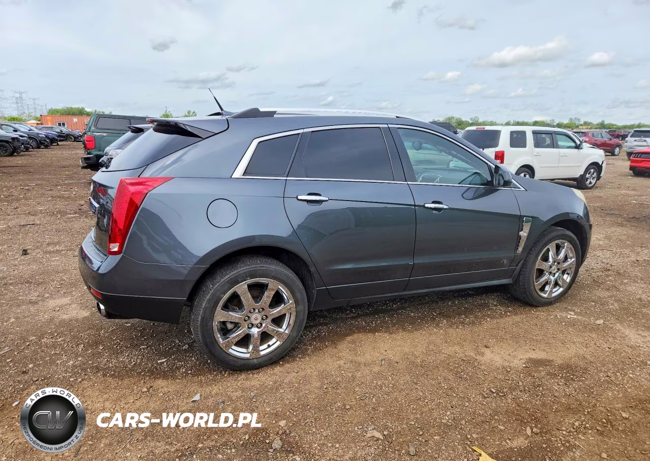 2010 Cadillac Srx Performance Collection VIN:3GYFNBEY8AS567941 - 3