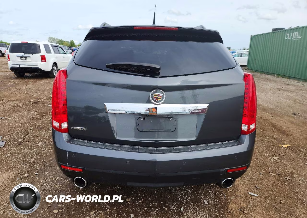 2010 Cadillac Srx Performance Collection VIN:3GYFNBEY8AS567941 - 6