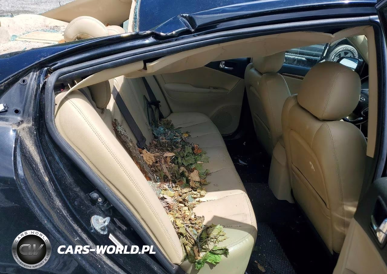 2009 Hyundai Sonata Limited VIN:5NPEU46C39H493336 - 10