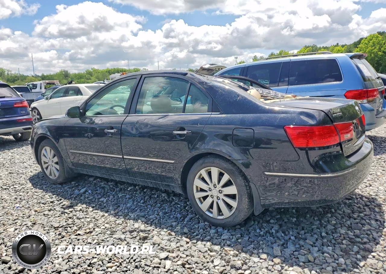 2009 Hyundai Sonata Limited VIN:5NPEU46C39H493336 - 2
