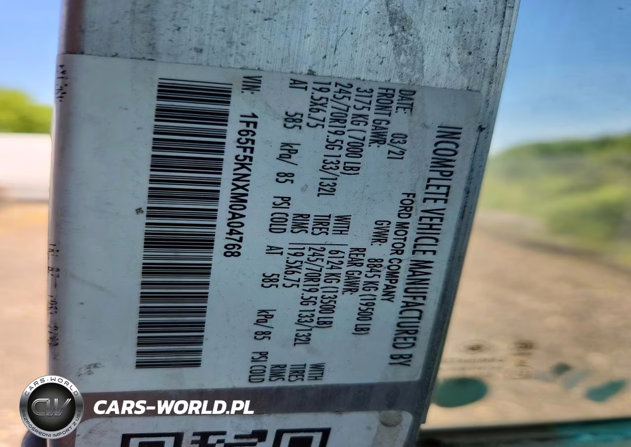 2021 Ford F59 Delivery Truck VIN:1F65F5KNXM0A04768 - 13