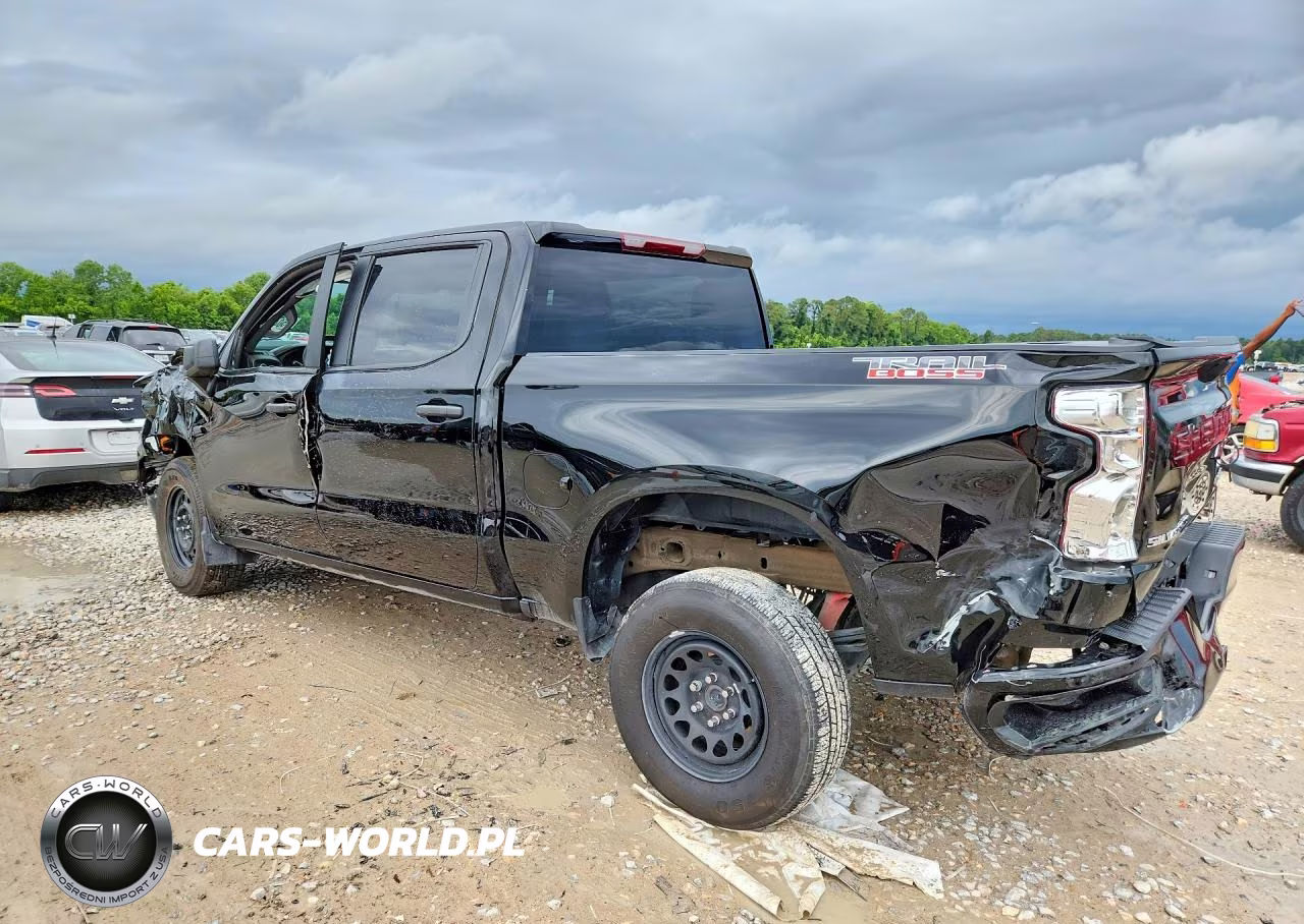 2025 Chevrolet Silverado K1500 Trail Boss Custom VIN:3GCPKCEK1SG274889 - 2