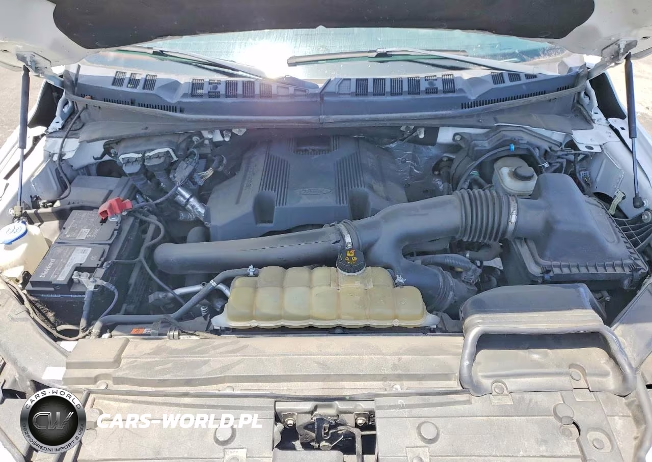 2019 Ford F150 Supercrew VIN:1FTEW1E49KKE64823 - 11
