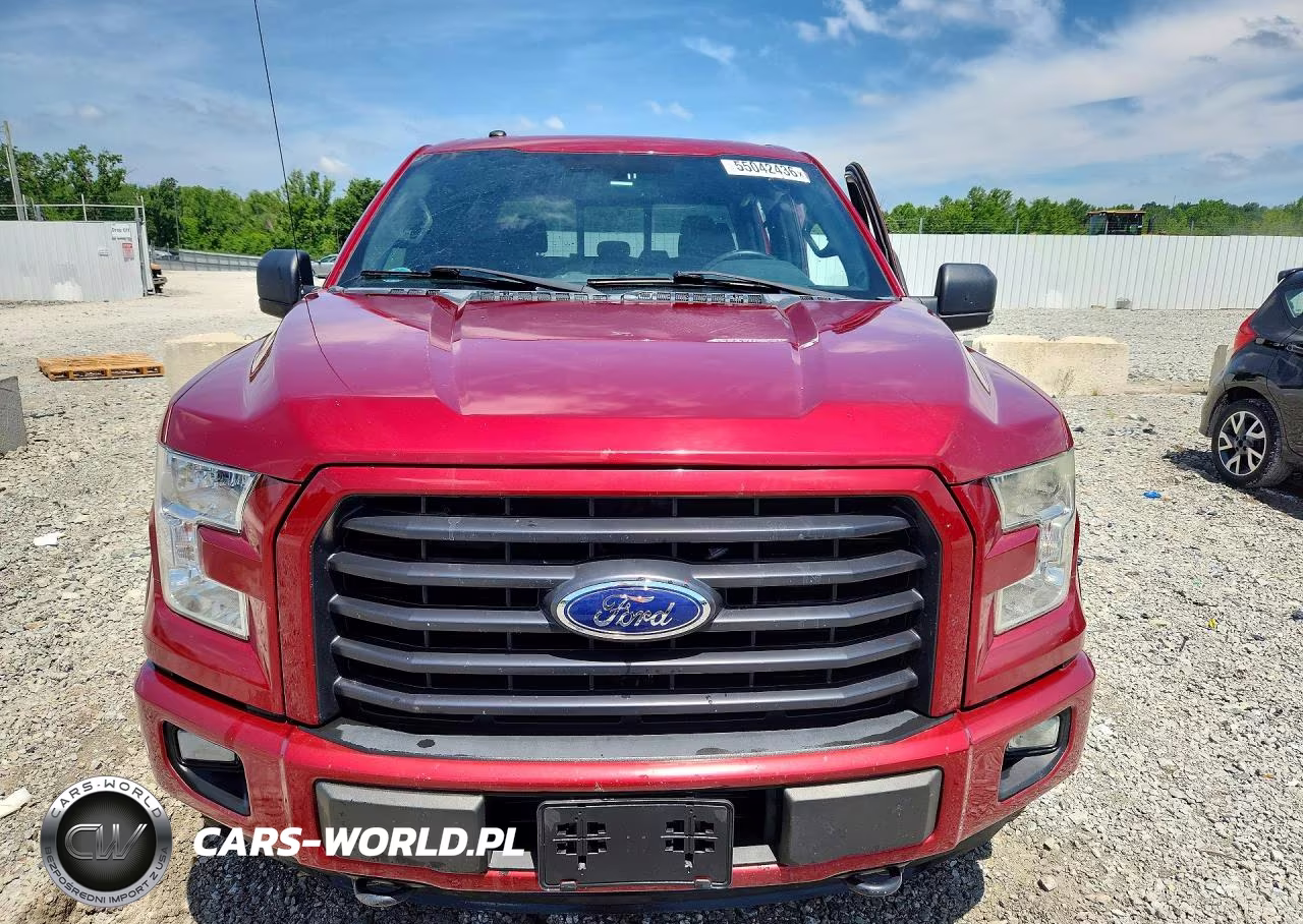 2016 Ford F150 Supercrew VIN:1FTEW1EP6GFD52782 - 5