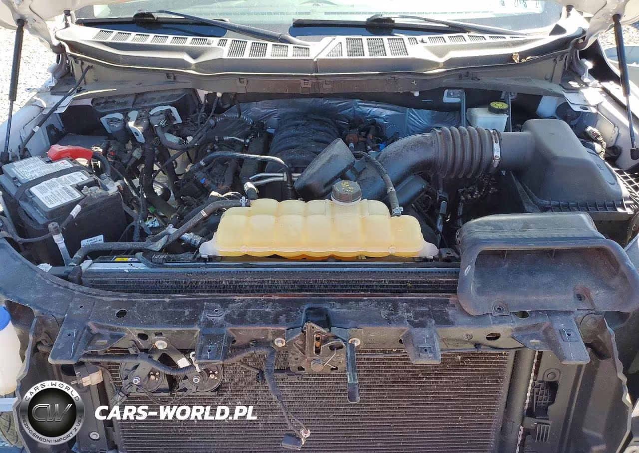2021 Ford F150 Supercrew VIN:1FTFW1E59MFA22536 - 11