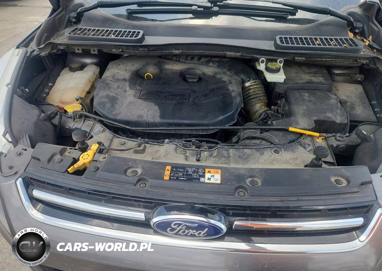 2014 Ford Escape VIN:1FMCU0J90EUE09187 - 12