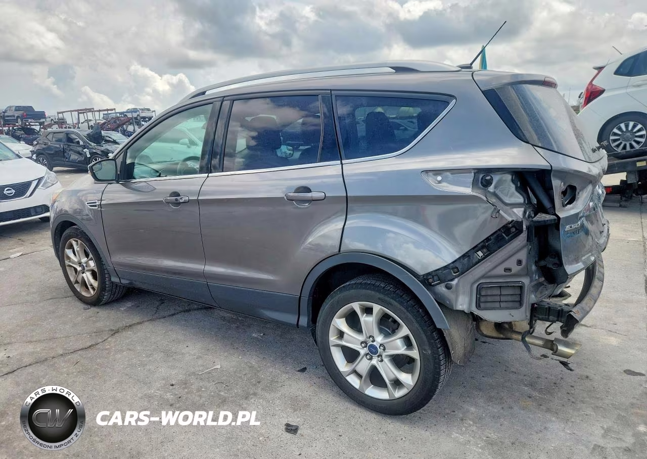 2014 Ford Escape VIN:1FMCU0J90EUE09187 - 2