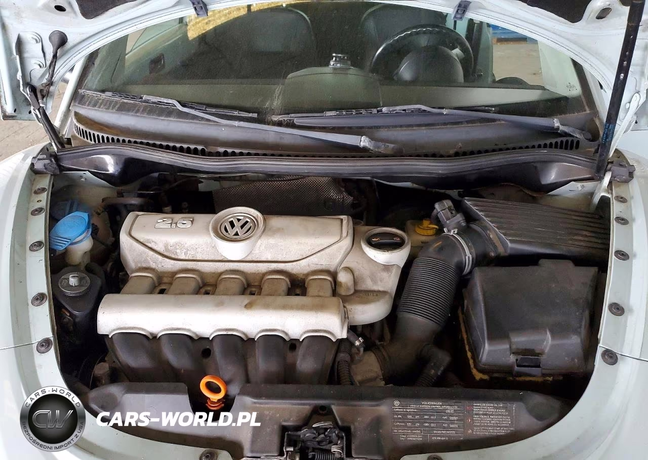 2010 Volkswagen New Beetle VIN:3VWRG3AG3AM036485 - 11