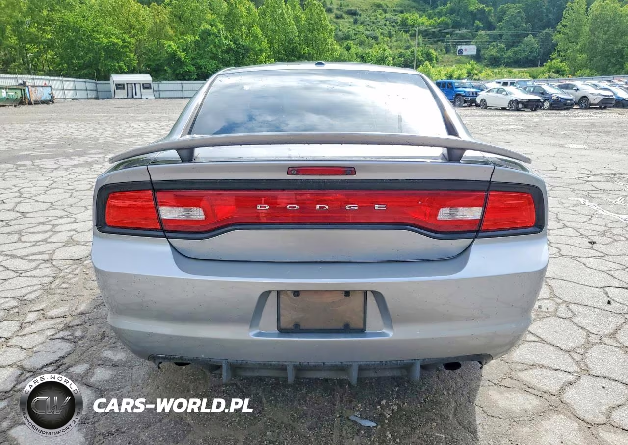 2013 Dodge Charger R-T Plus VIN:2C3CDXDT8DH610586 - 6