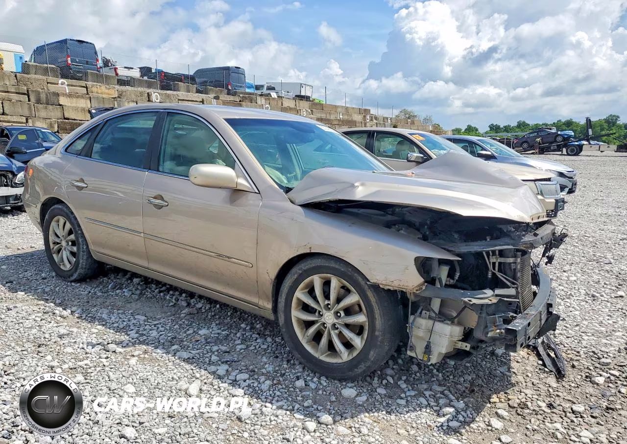 2007 Hyundai Azera Se VIN:KMHFC46F87A139104 - 4
