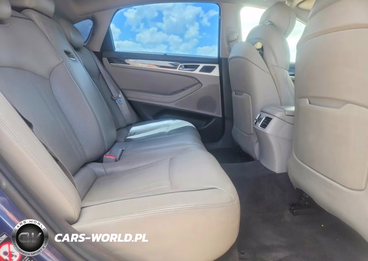 2015 Hyundai Genesis 3.8L VIN:KMHGN4JE6FU037553 - 10