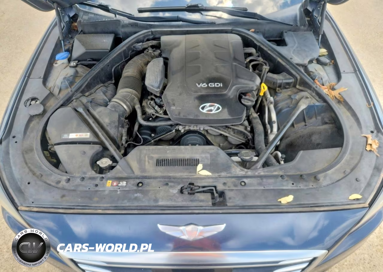 2015 Hyundai Genesis 3.8L VIN:KMHGN4JE6FU037553 - 11