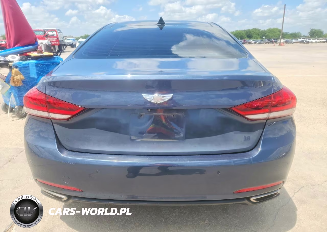 2015 Hyundai Genesis 3.8L VIN:KMHGN4JE6FU037553 - 6