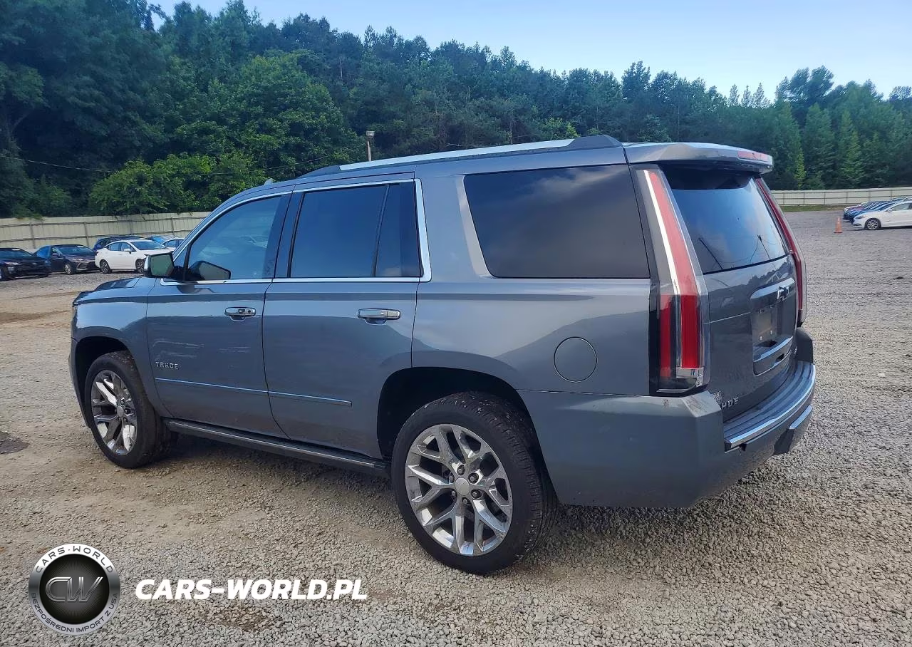 2019 Chevrolet Tahoe K1500 Premier VIN:1GNSKCKC2KR107021 - 2