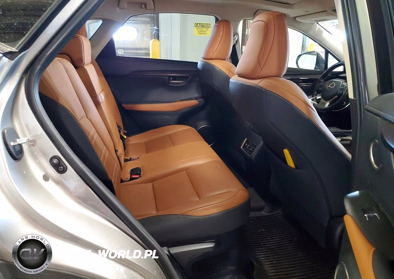 2020 Lexus Nx 300 VIN:JTJGARDZ7L5009274 - 11